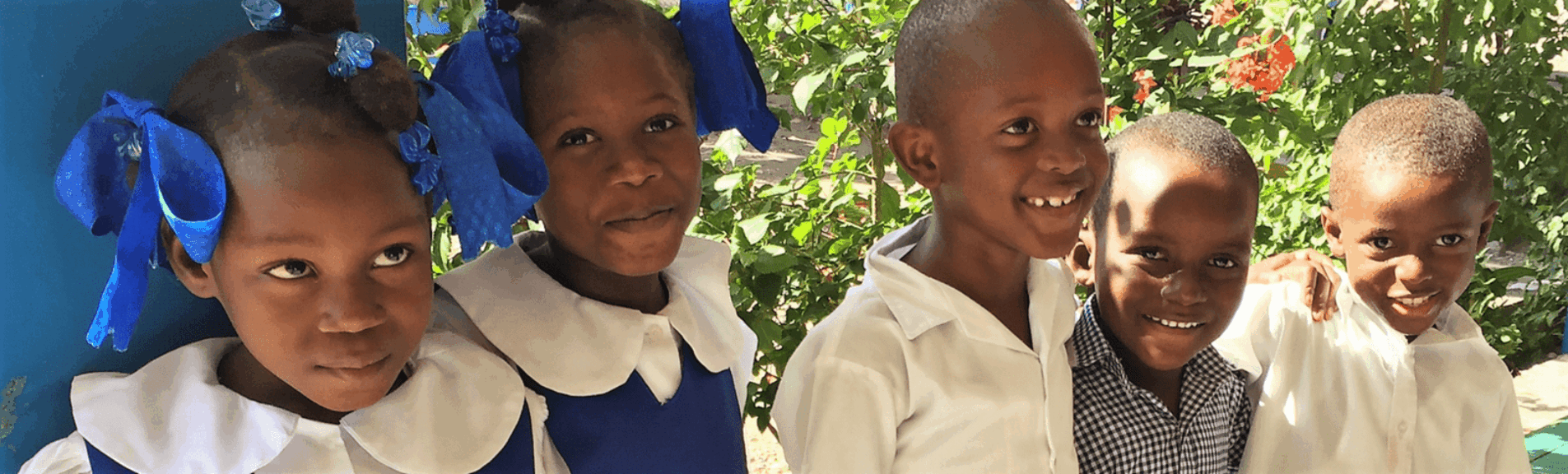 Partnering with Established Schools